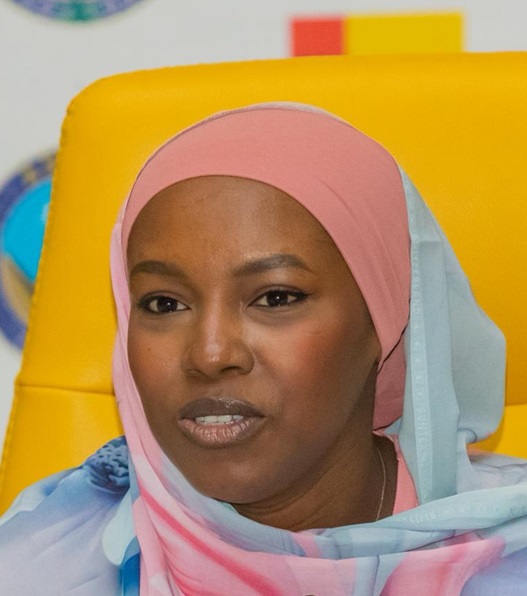 Fatima Goukouni Weddeye, Président du Comité des ministres